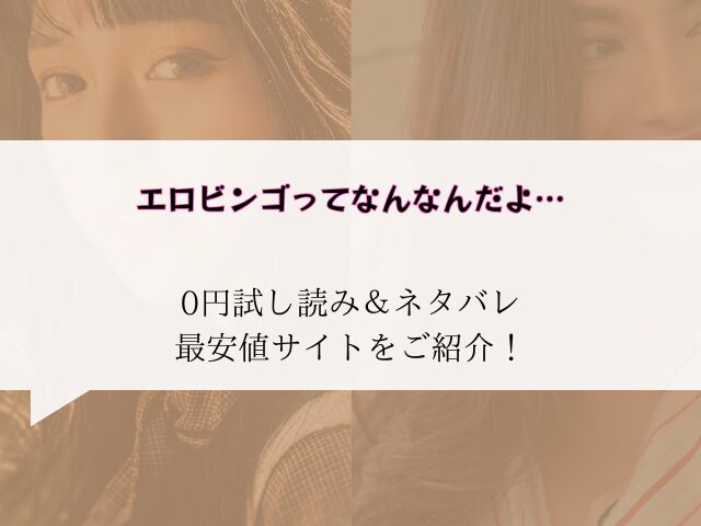 エロビンゴってなんなんだよ…