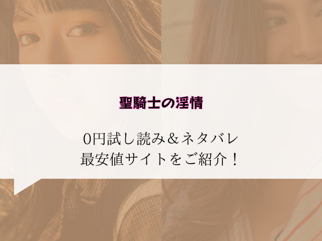 聖騎士の淫情